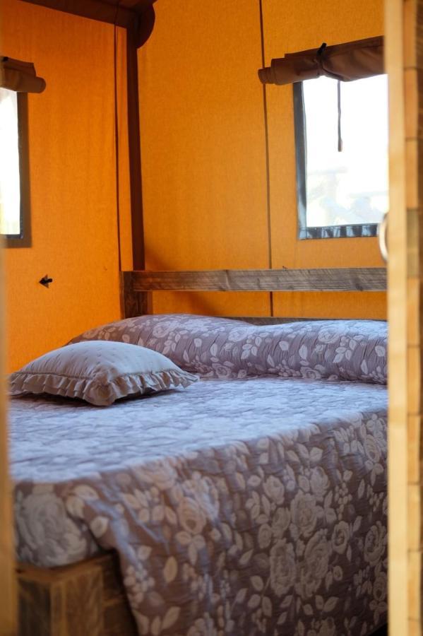 La Viola E Il Sole - Alloggi E Glamping - Fermo Extérieur photo