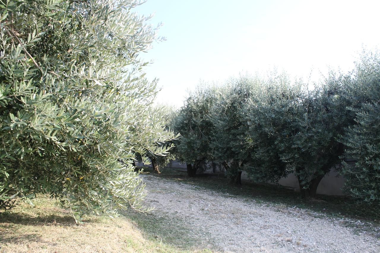 La Viola E Il Sole - Alloggi E Glamping - Fermo Extérieur photo