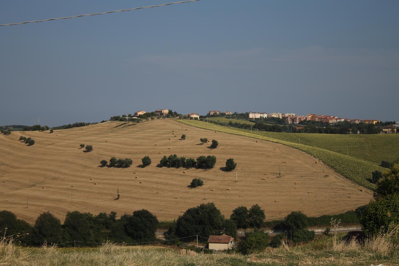 La Viola E Il Sole - Alloggi E Glamping - Fermo Extérieur photo